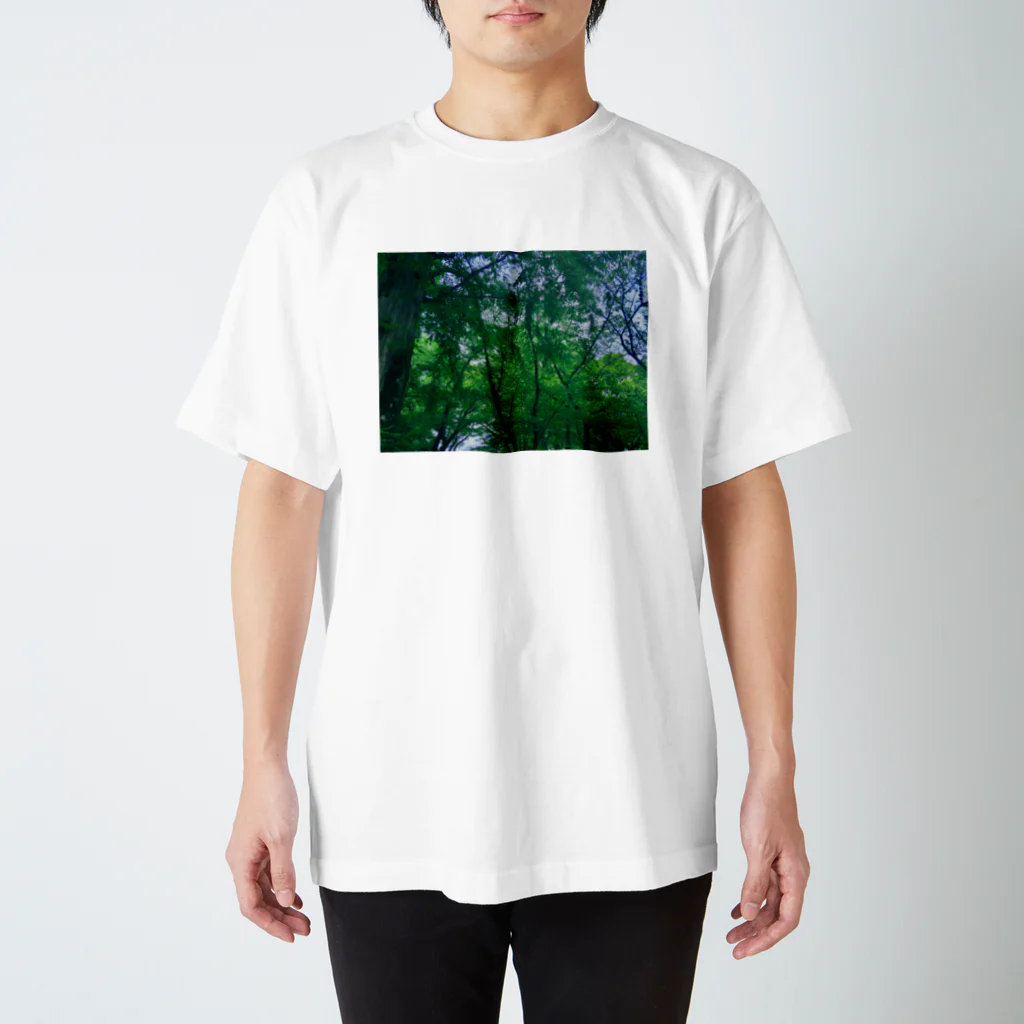 Too fool campers Shop!のSHINRYOKU02 スタンダードTシャツ