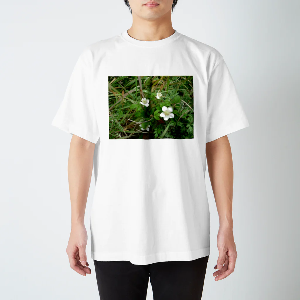 レモンタイムの庭の野の花 スタンダードTシャツ