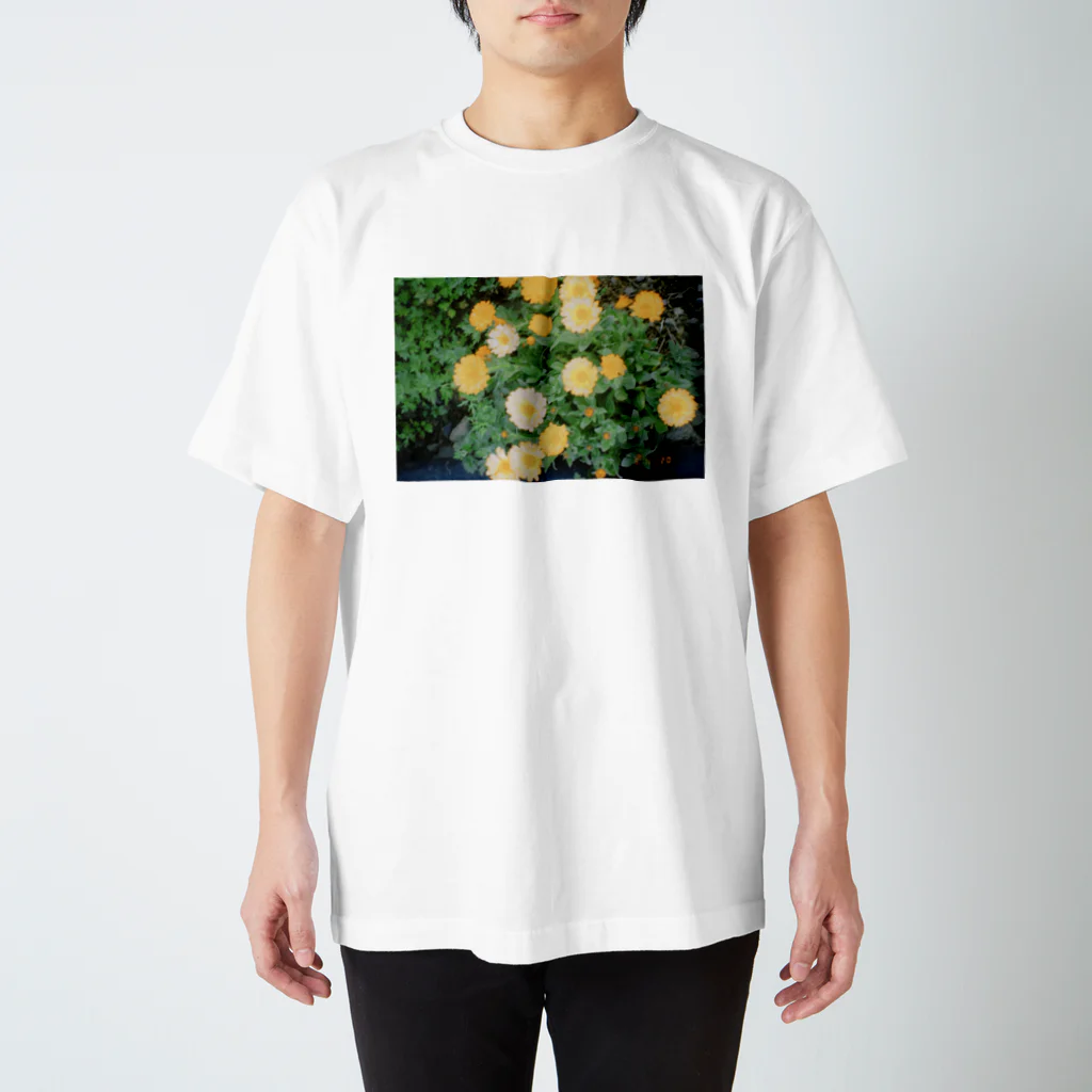 窓辺のきのこのさんぽみち スタンダードTシャツ