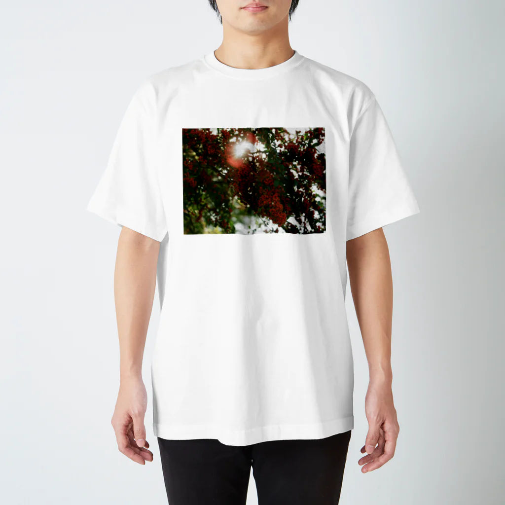hiroki-naraのピラカンサス　DATA_P_136 Regular Fit T-Shirt
