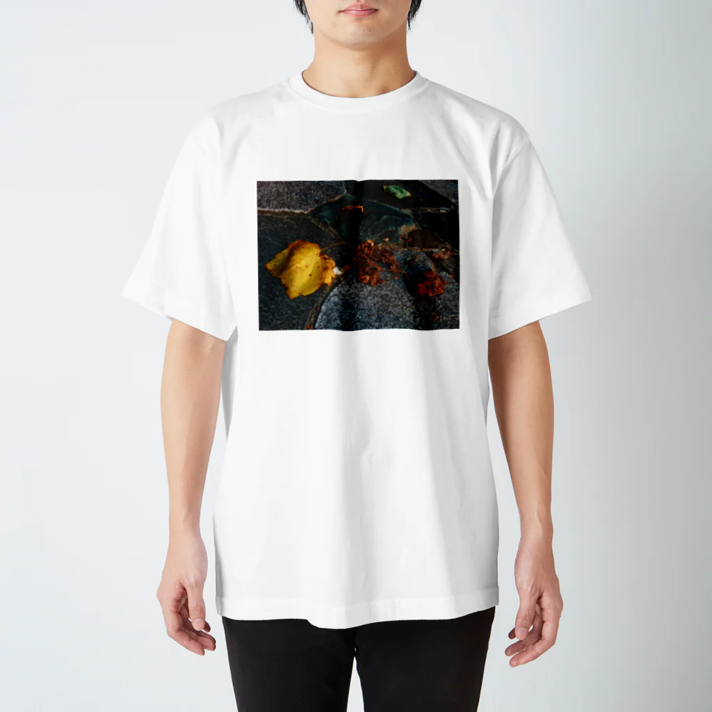 hiroki-naraの落ち葉　散る　DATA_P_137 スタンダードTシャツ