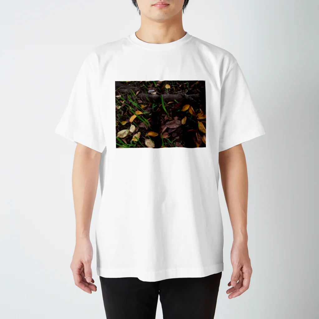 hiroki-naraの落ち葉と根　DATA_P_138 スタンダードTシャツ