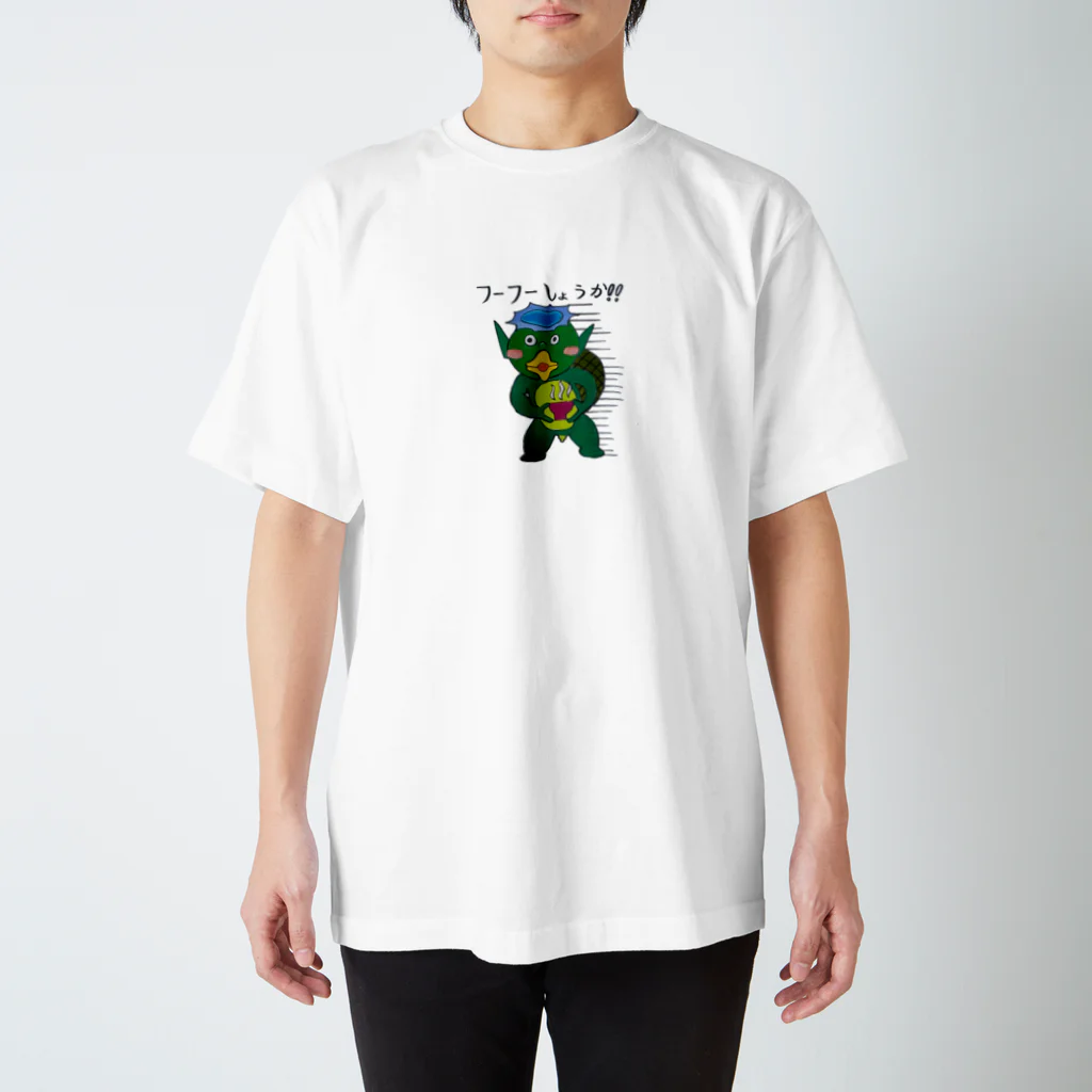 ayapon_v.n_n.vのフーフーカッパ スタンダードTシャツ