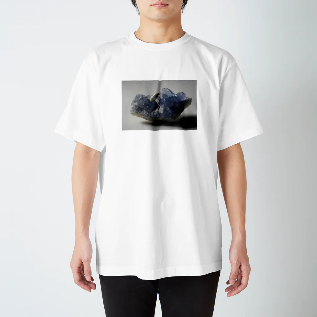 石ンロールのロックなアイテム　フローライト(青) Regular Fit T-Shirt