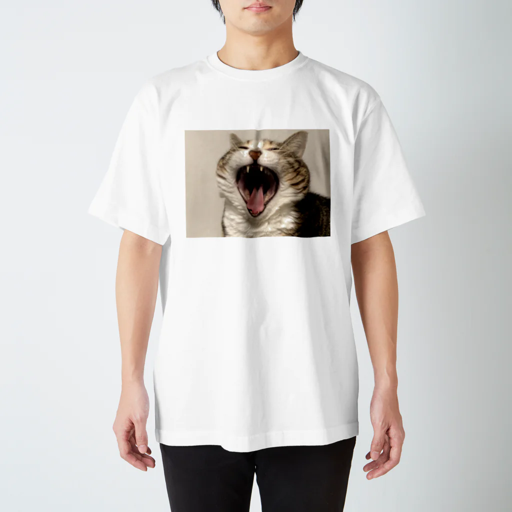 あゆのしおやきの猫(キジシロ) Regular Fit T-Shirt