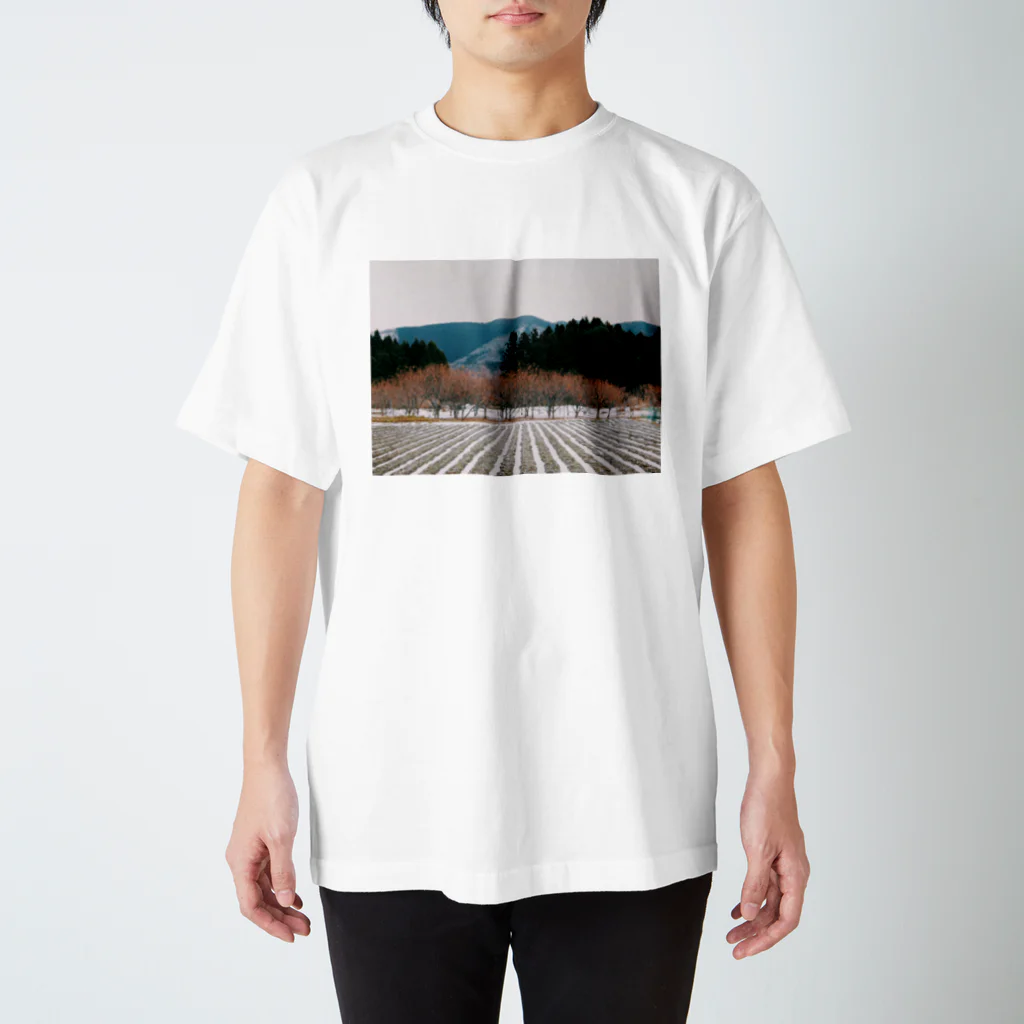 Sanami 紗　のlandscape No.5 Regular Fit T-Shirt