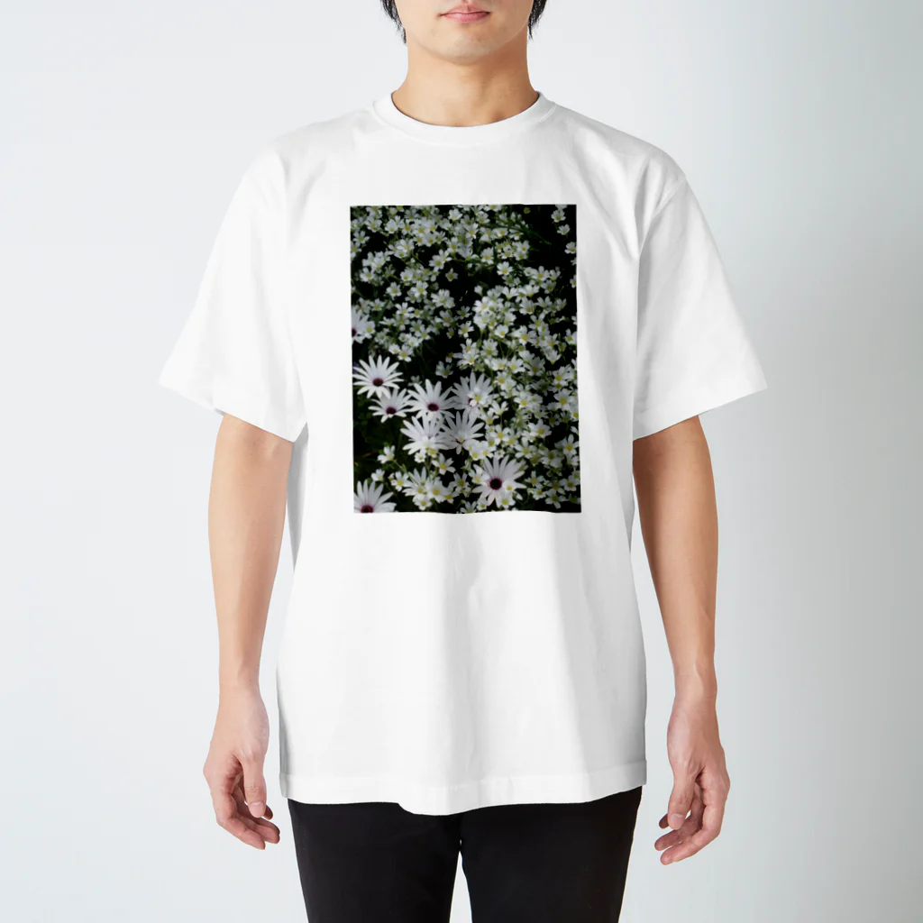 Gardenの白い花畑 スタンダードTシャツ