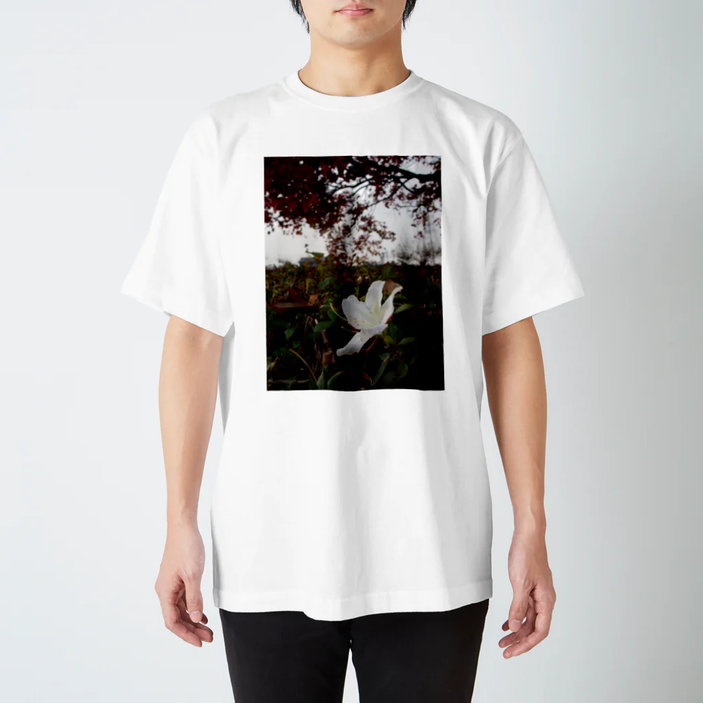 hiroki-naraの狂い咲くツツジ　DATA_P_144 スタンダードTシャツ