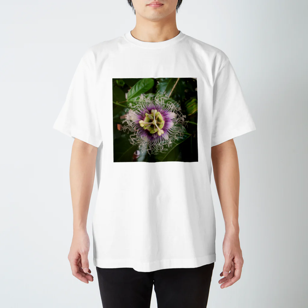 GOHANNDESUYOの時計草 スタンダードTシャツ