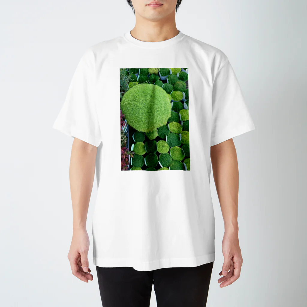 haretのmoss farm スタンダードTシャツ