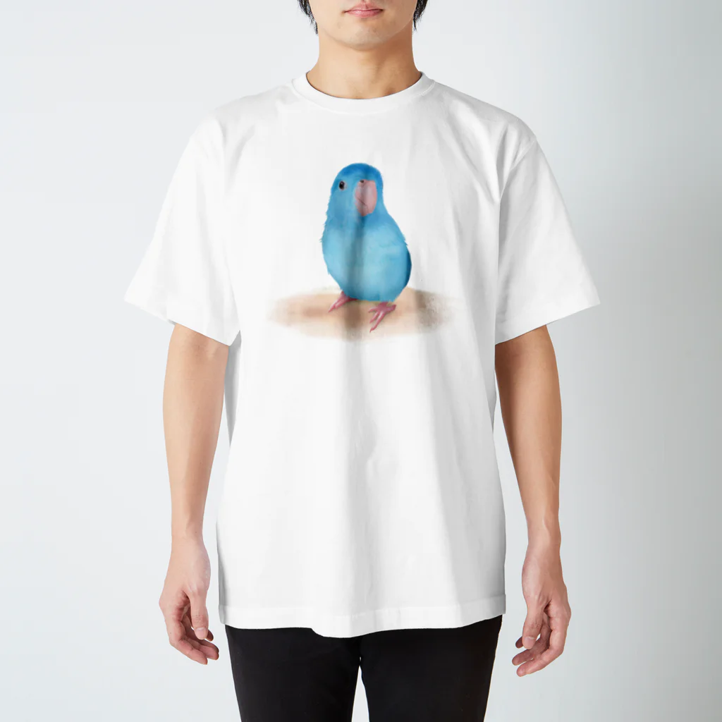 まめるりはことりのブルーマメルリハ【まめるりはことり】 Regular Fit T-Shirt