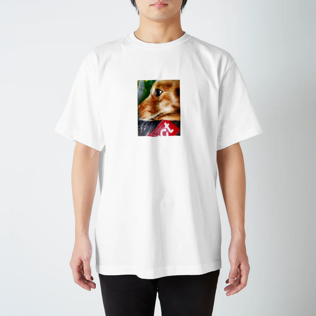 輩ちゃんの愛犬大和 Regular Fit T-Shirt