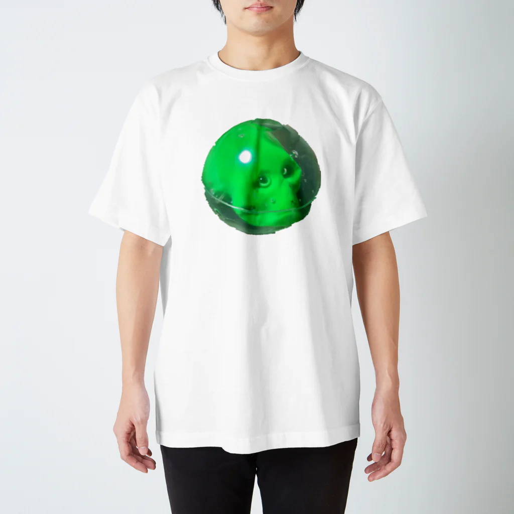 TO OMOTARA SHINDA.のscull marble スタンダードTシャツ