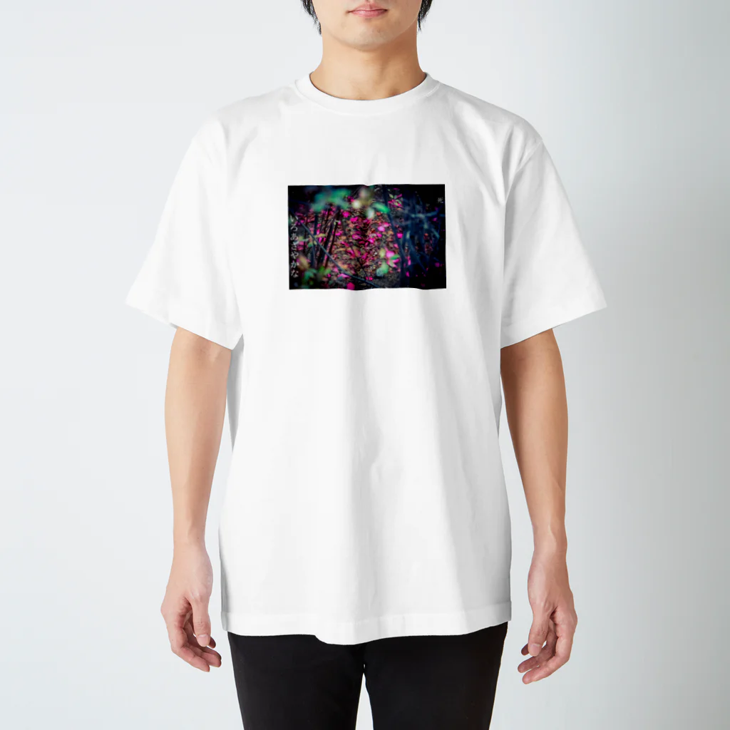 シークヮーサー魔球のいろあざやかな死（椿） スタンダードTシャツ