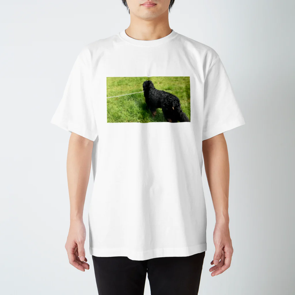 BMDしんのすけのBMD 草原 スタンダードTシャツ