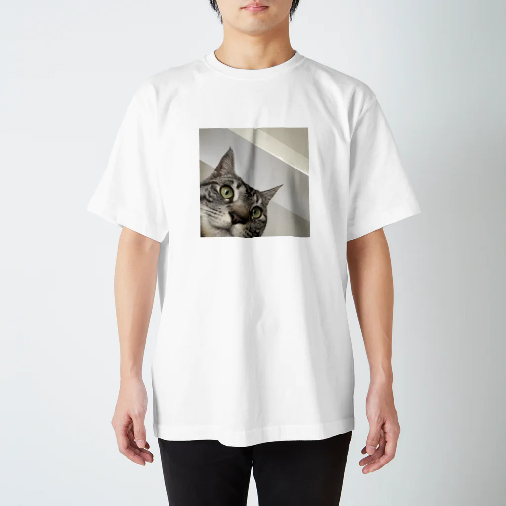 tubakiのneko tubaki スタンダードTシャツ