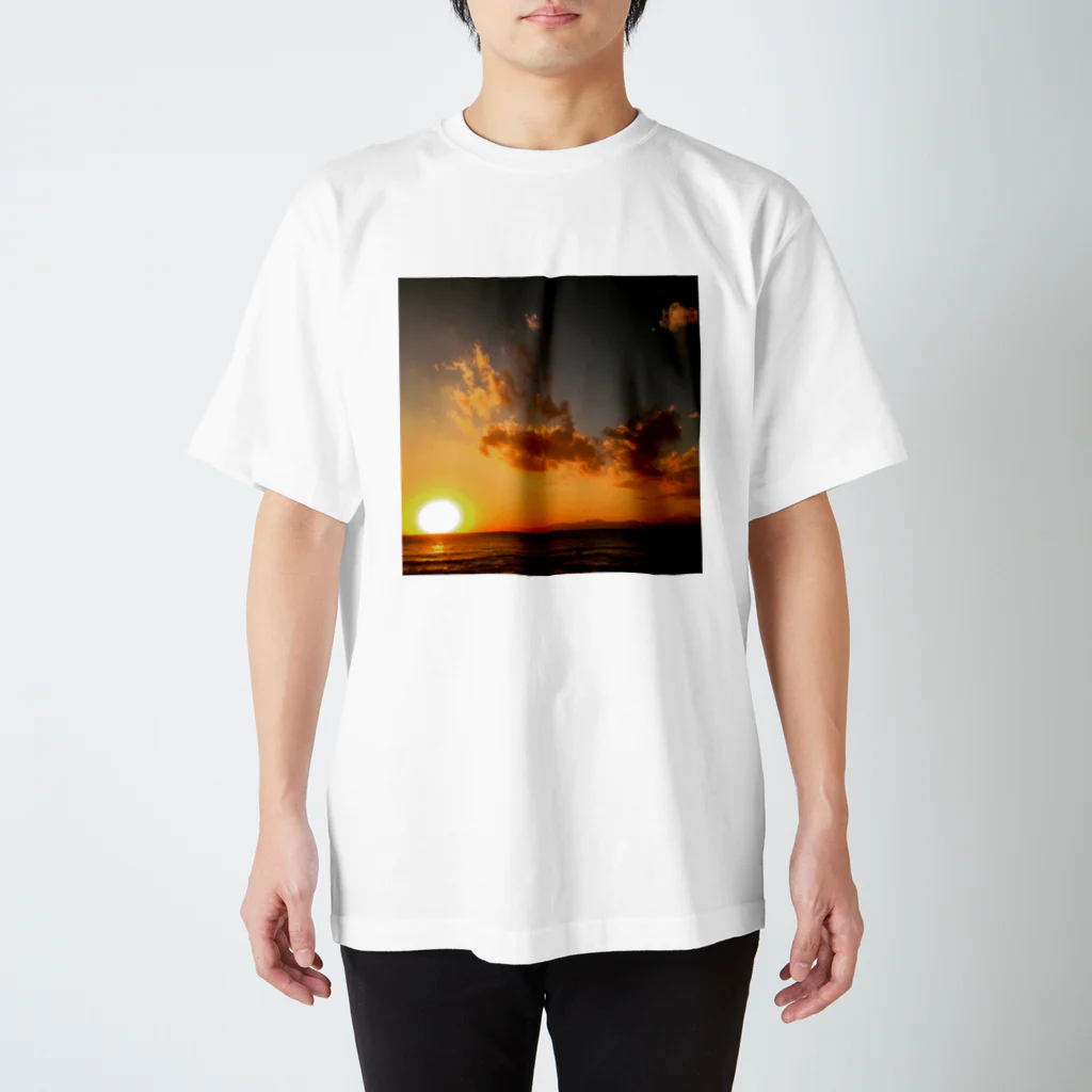 niimi a.k.a. osamuのUnder the Sun スタンダードTシャツ