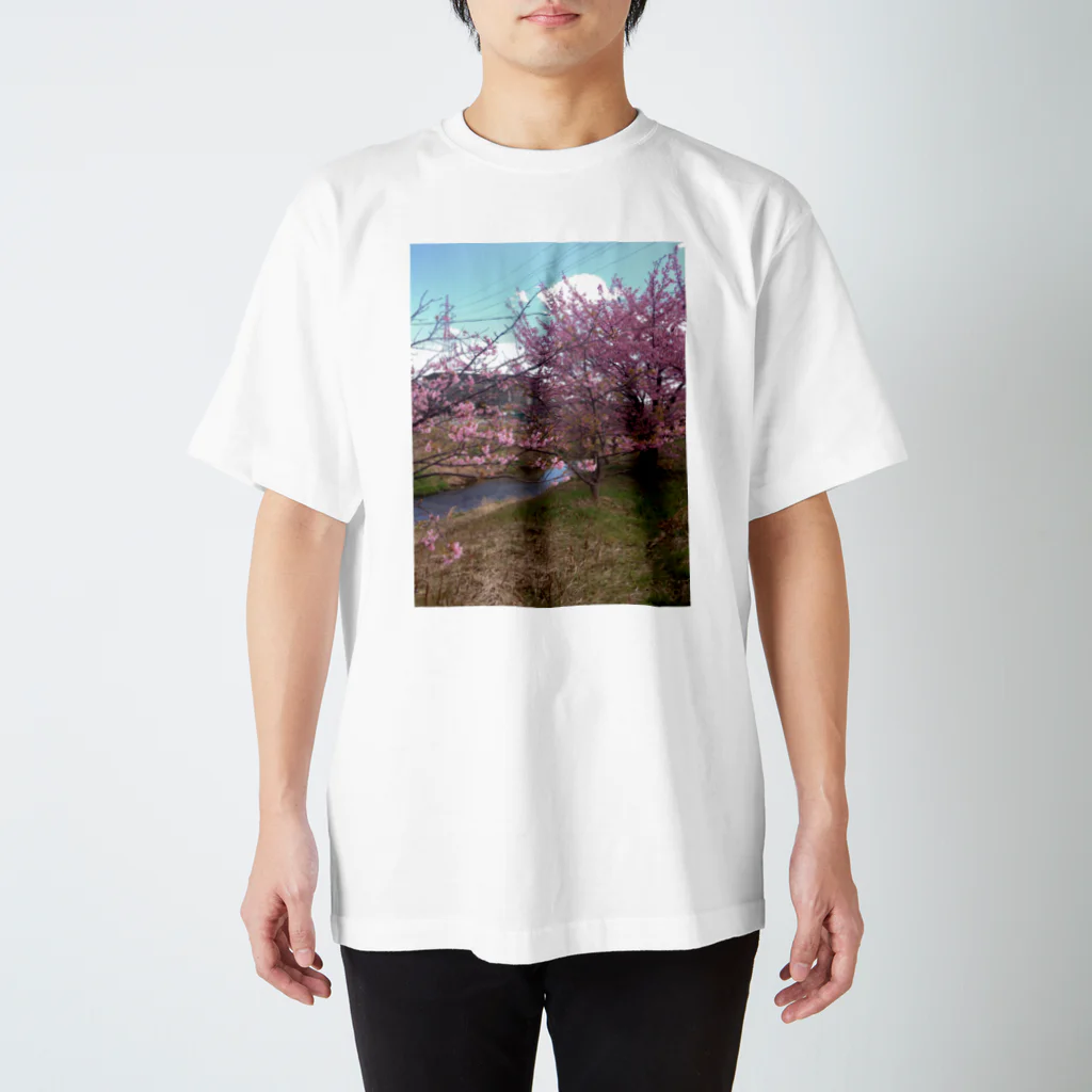 jurianoの四日市市桜地区の河津桜 スタンダードTシャツ