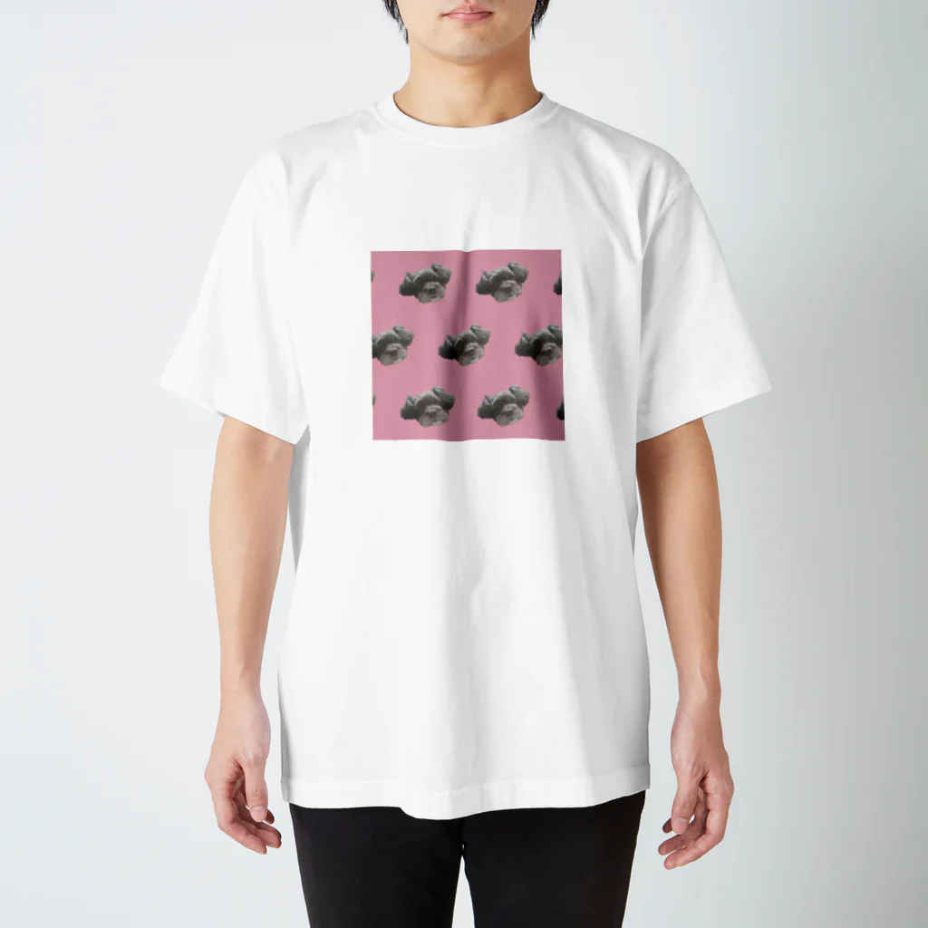 おしおちゃんのヒメ Regular Fit T-Shirt