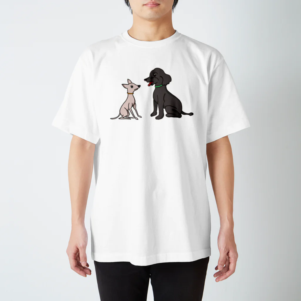 へちまめろんのへちまめろん スタンダードTシャツ