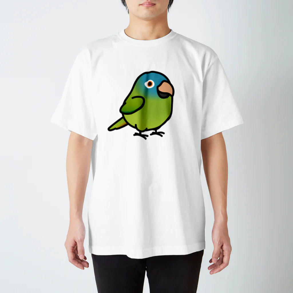 Cody the LovebirdのChubby Bird トガリオインコ Regular Fit T-Shirt