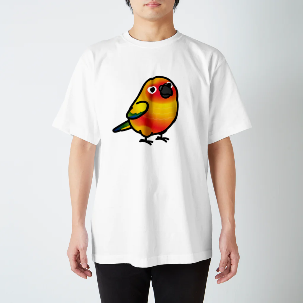 Cody the LovebirdのChubby Bird コガネメキシコインコ スタンダードTシャツ