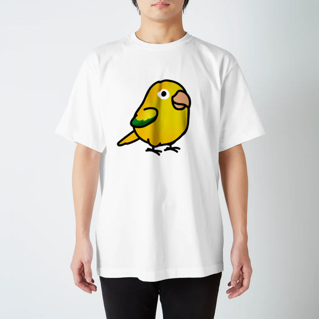 Cody the LovebirdのChubby Bird ニョオウインコ スタンダードTシャツ