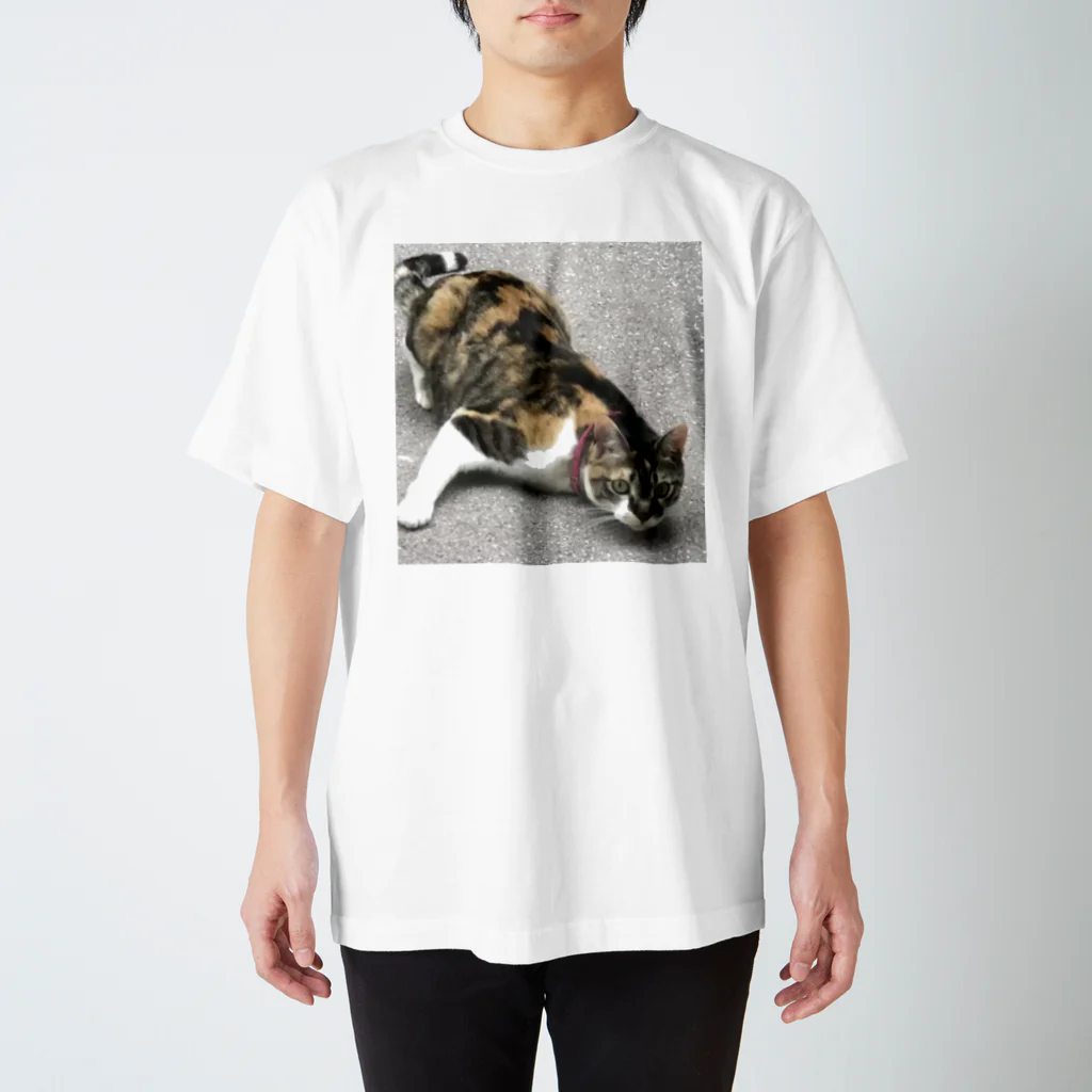 shosho_0413のねらう猫 スタンダードTシャツ