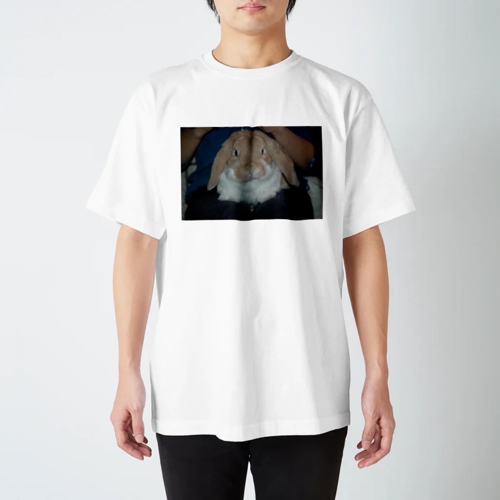 nekotenのアンゴラうさぎ Regular Fit T-Shirt