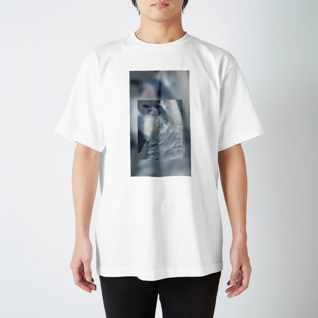 get_up_punksのおもちちゃん Regular Fit T-Shirt