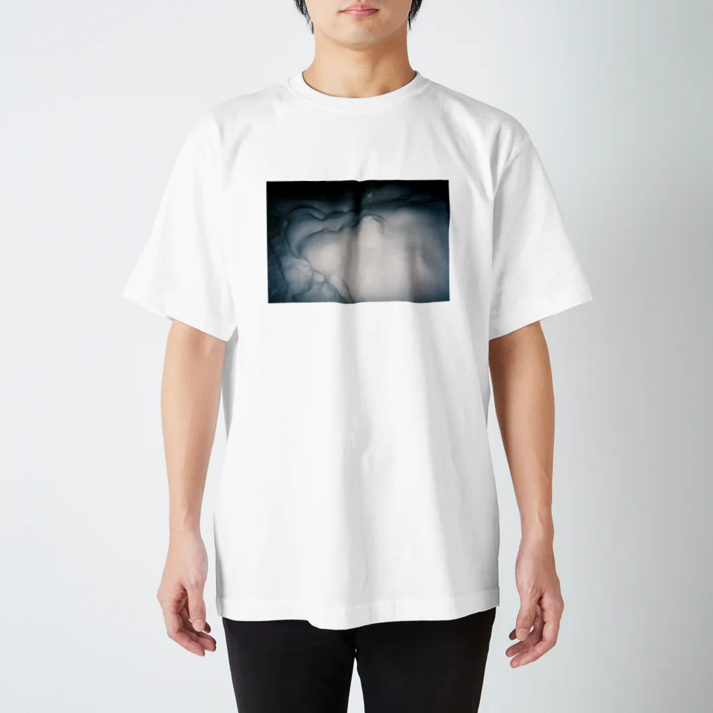 たにたにのヒヤヒヤ Regular Fit T-Shirt