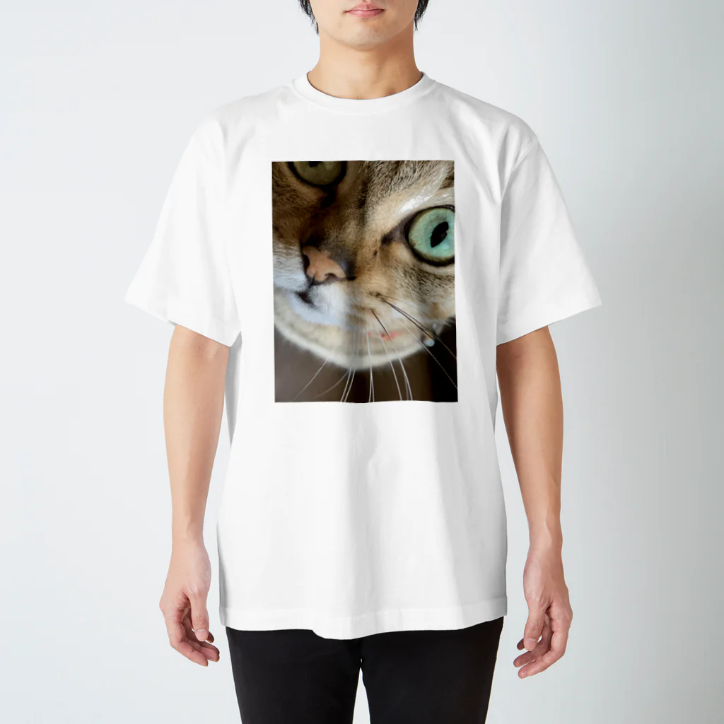 ここナッスの猫の名は、、、 スタンダードTシャツ