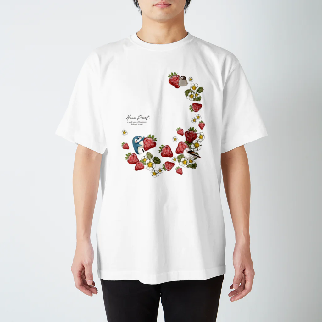 sae. のいちご畑 Regular Fit T-Shirt