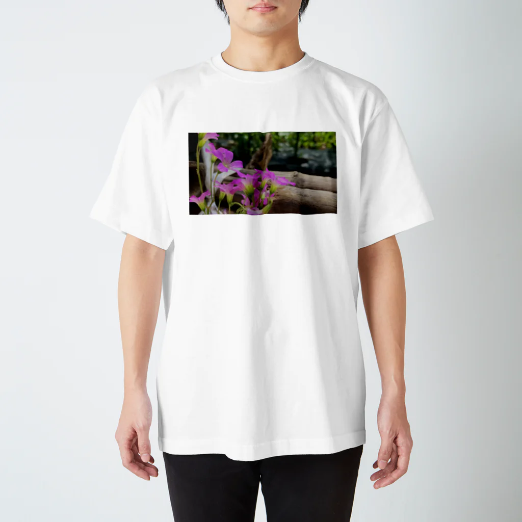 華の庭の紫片喰 Regular Fit T-Shirt