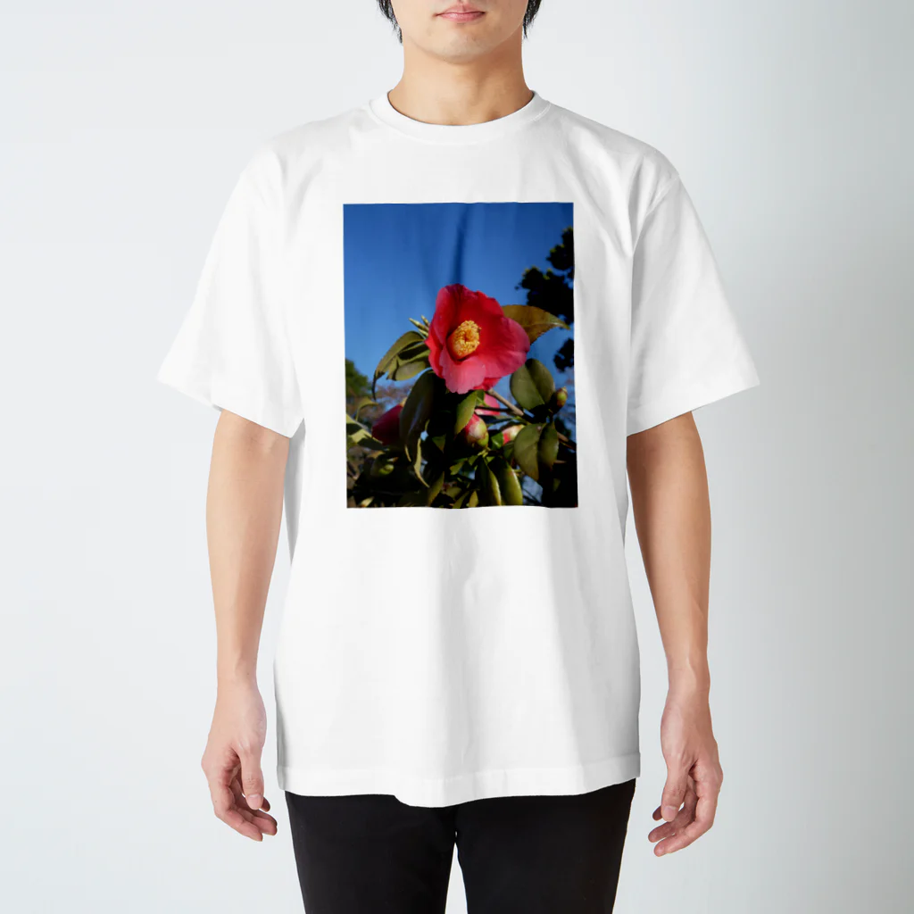 写真屋とーかの椿 スタンダードTシャツ