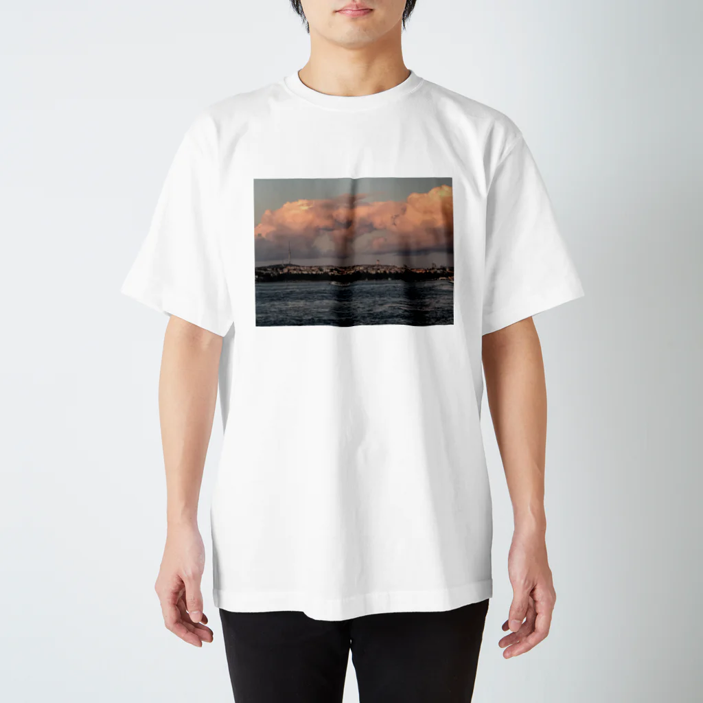 Peacehouseの絶景！イスタンブール🇹🇷 スタンダードTシャツ