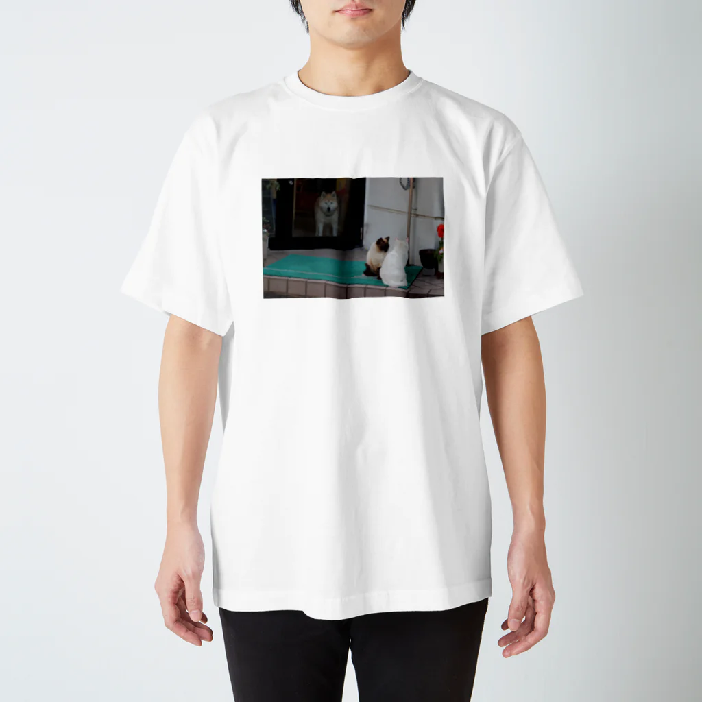 kokumotsu_teikokuのいぬねこT Regular Fit T-Shirt