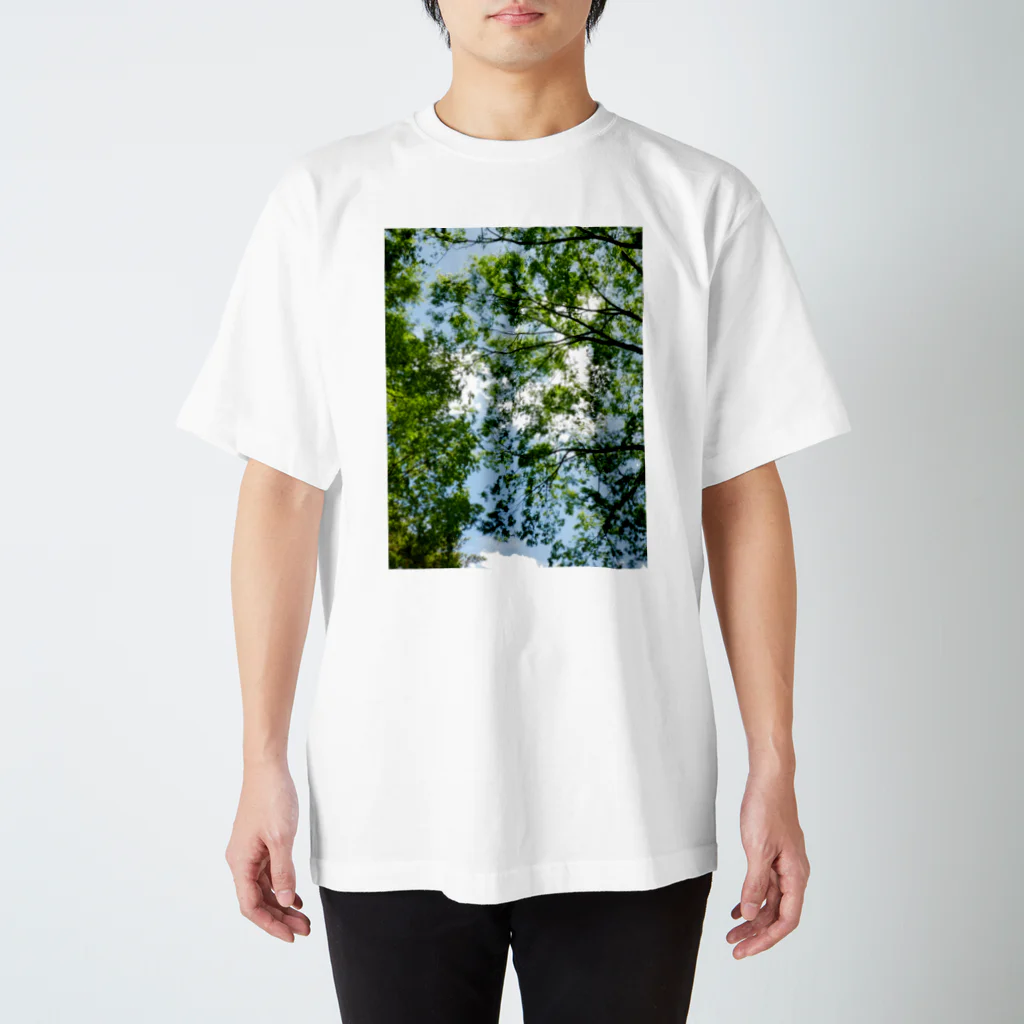 写真屋とーかの木漏れ日。 スタンダードTシャツ