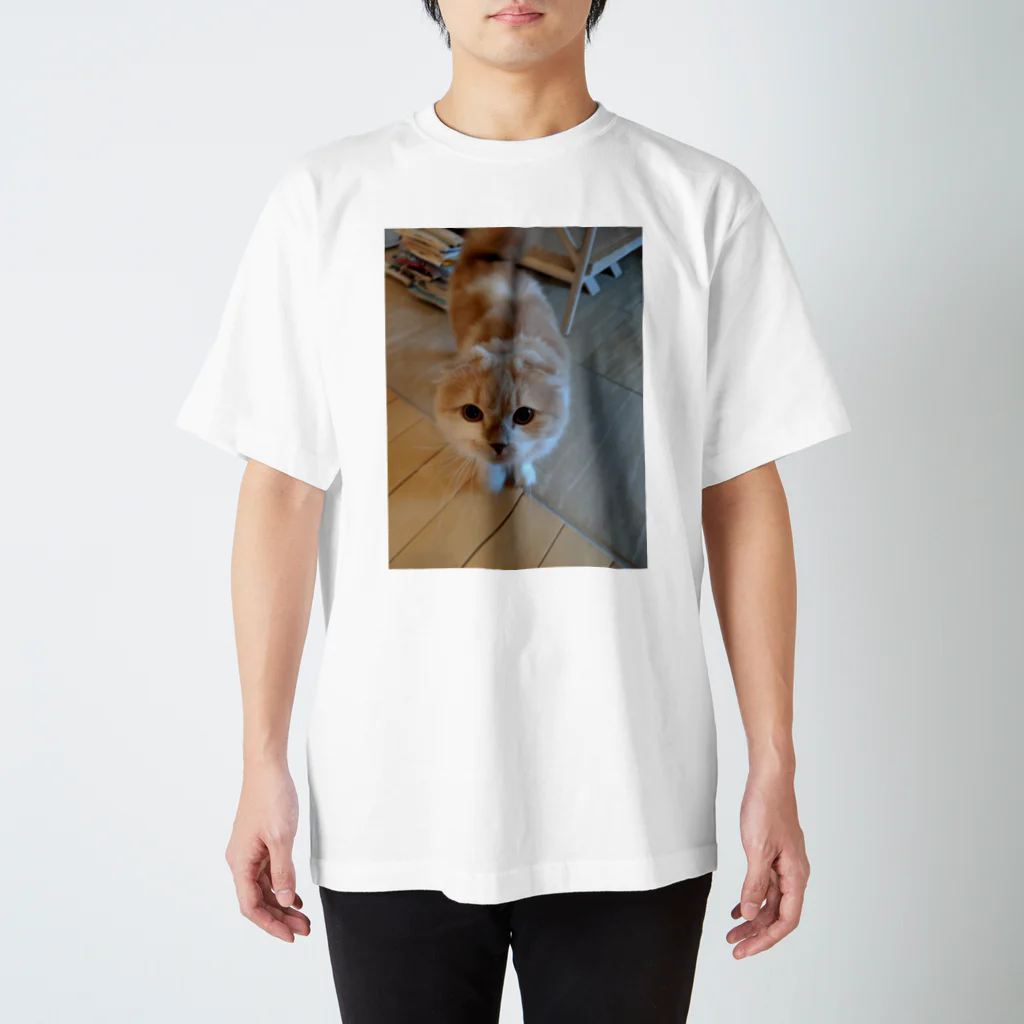 太田荘嗣のねこちゃん Regular Fit T-Shirt