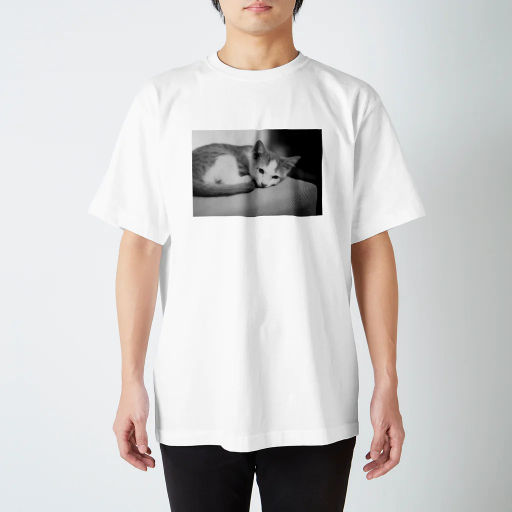 おいのネコ　2 Regular Fit T-Shirt