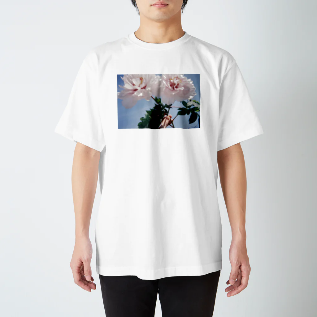 東洲斎写楽のお花Tシャツ スタンダードTシャツ