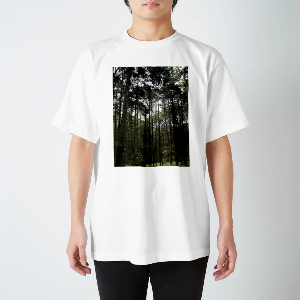 emu5961の森の中 スタンダードTシャツ