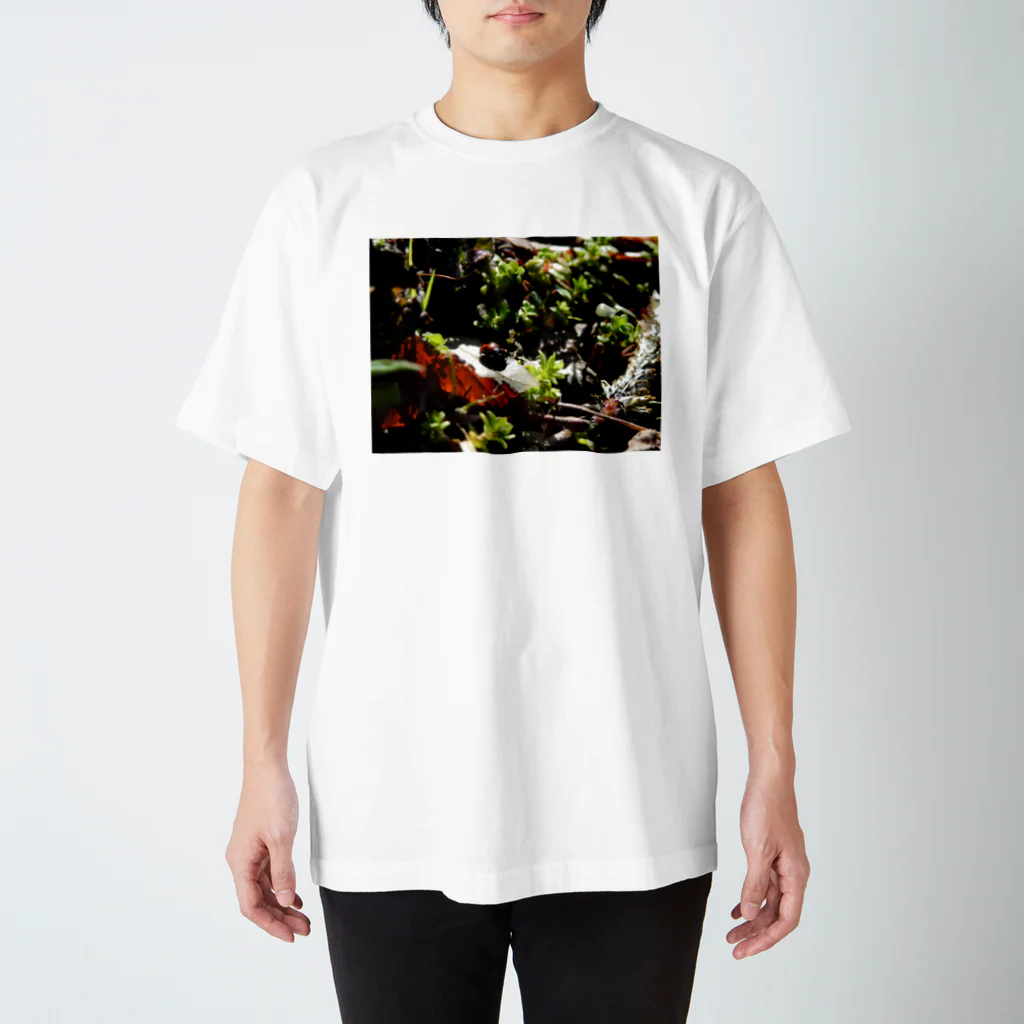ocha_torida-店のてんとうむし Regular Fit T-Shirt