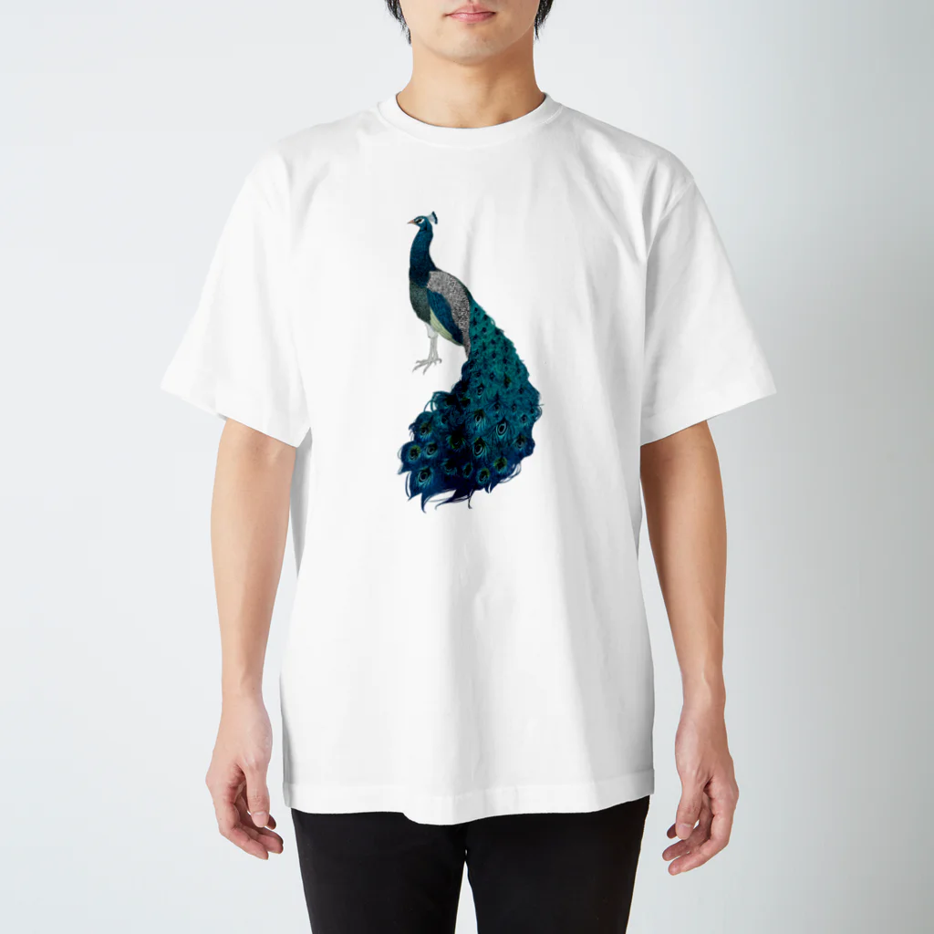 circle and dropsのクジャク Regular Fit T-Shirt