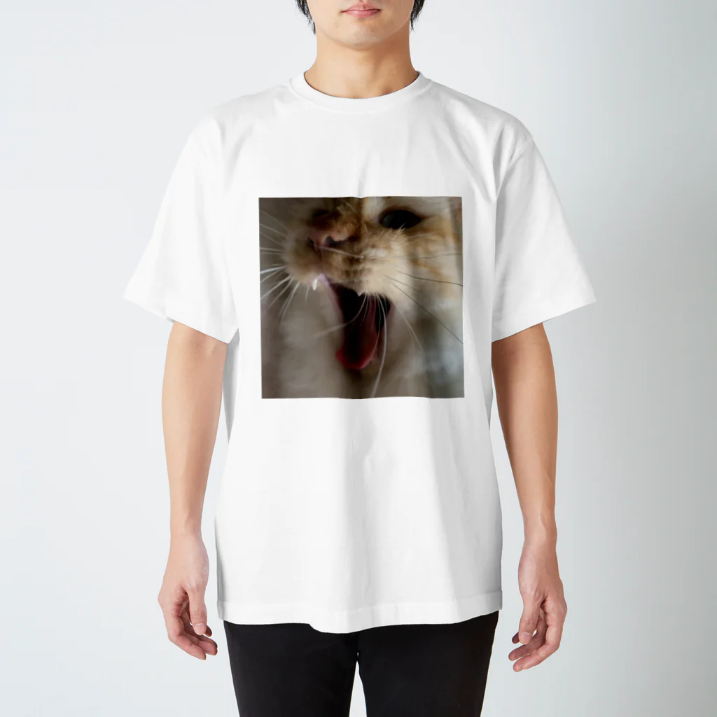 オレレオンのオレレオン Regular Fit T-Shirt