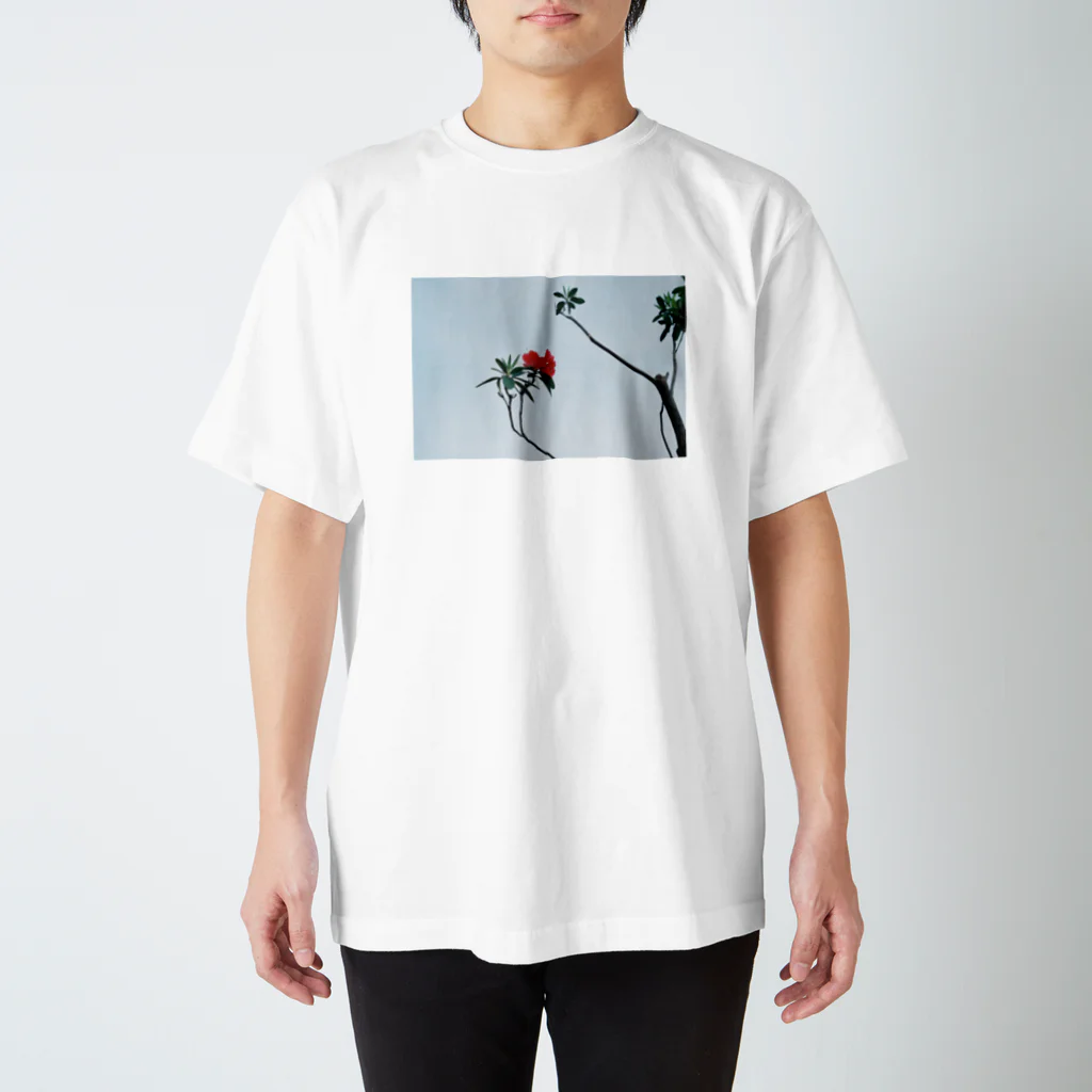 エモい写真館の空と花（ツツジ） スタンダードTシャツ
