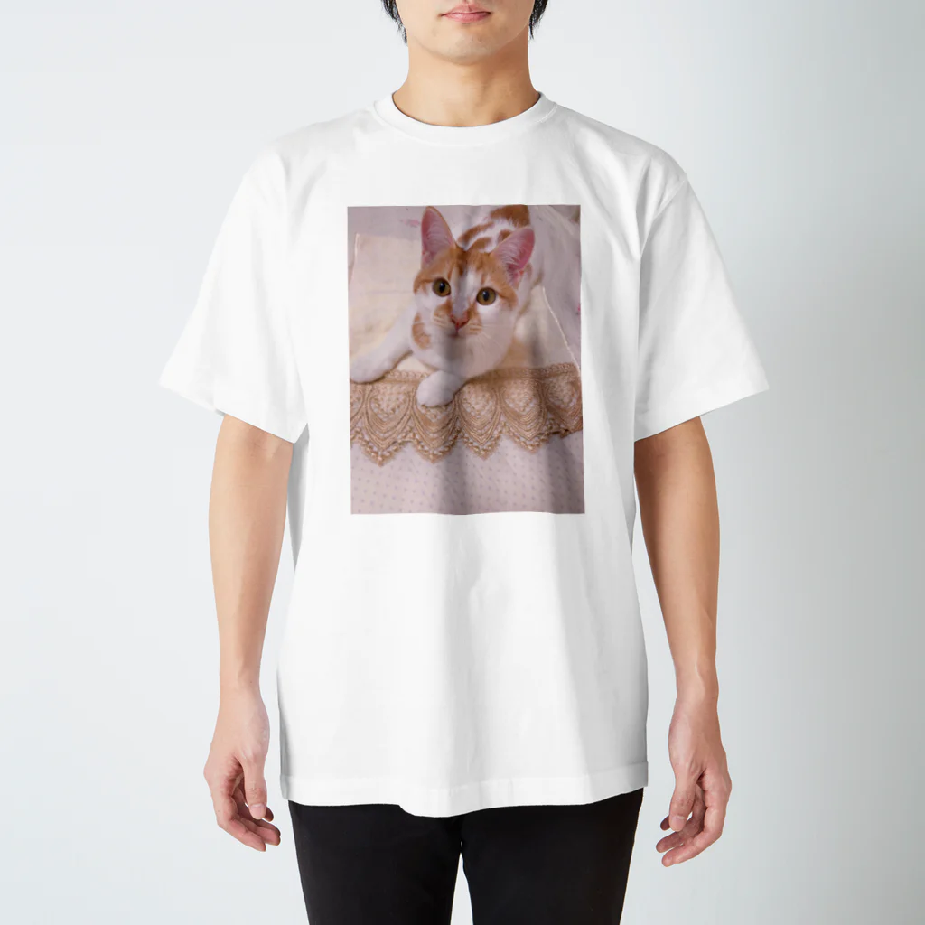 薄墨はコーヒーがすき。の保護猫あんず君① スタンダードTシャツ