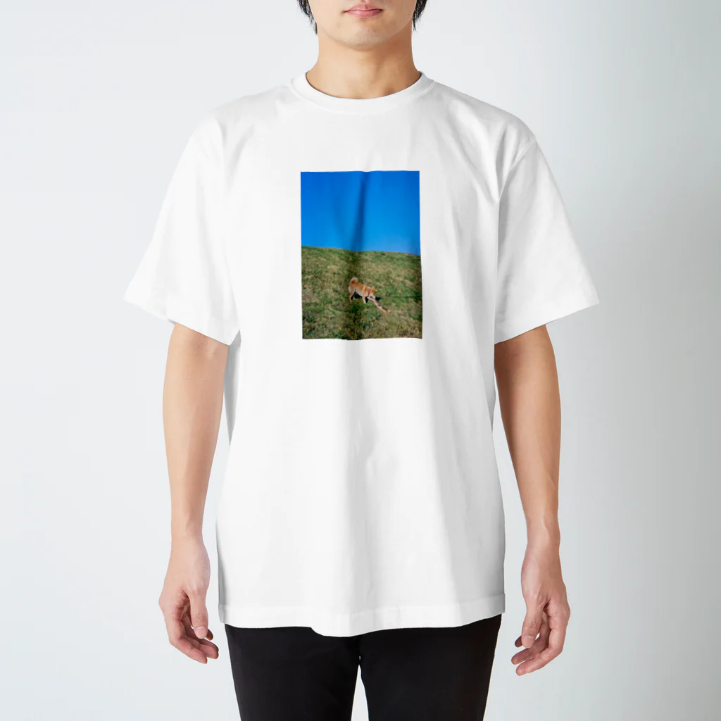 inubotのさんぽ Regular Fit T-Shirt