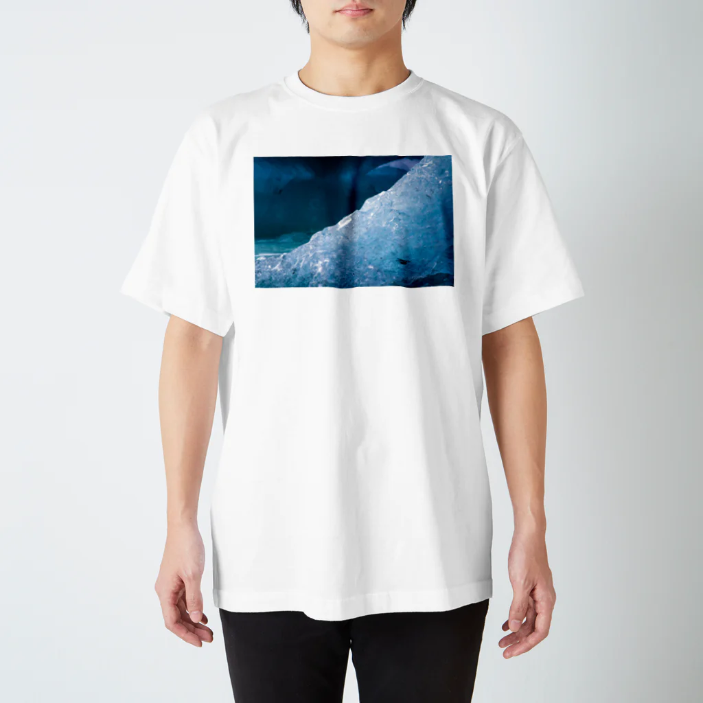 河野祥伍のIcey Regular Fit T-Shirt