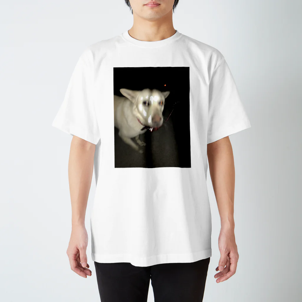 fun_doshiの光速犬 Regular Fit T-Shirt